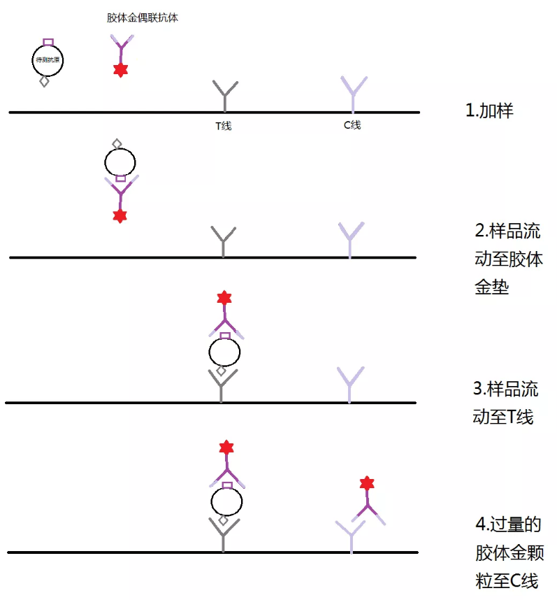 5e1d6f0e26044.png 5e1d6f0e26044.png